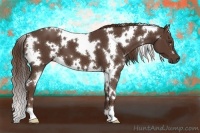 Horse Color:White Spotted Liver Chestnut 