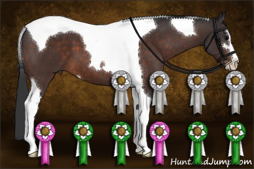 Horse Color:Brown Sabino Tobiano 