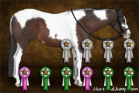 Horse Color:Brown Sabino Tobiano