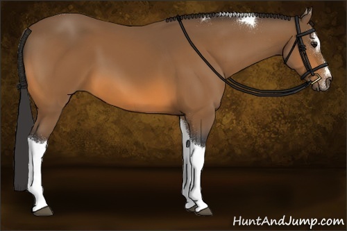 Horse Color:Buckskin Sabino Tobiano