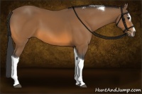 Horse Color:Buckskin Sabino Tobiano 