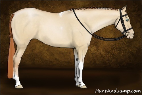Horse Color:Buckskin Pearl Dun Tobiano 