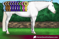 Horse Color:Buckskin Roan Pearl Appaloosa and Buckskin Roan Pearl Appaloosa