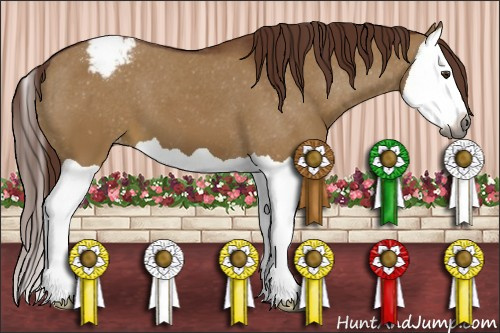 Horse Color:Gray Red Dun Splash Appaloosa 