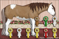 Horse Color:Gray Red Dun Splash Appaloosa 