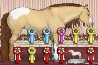 Horse Color:Gray Gold Champagne Dun Appaloosa