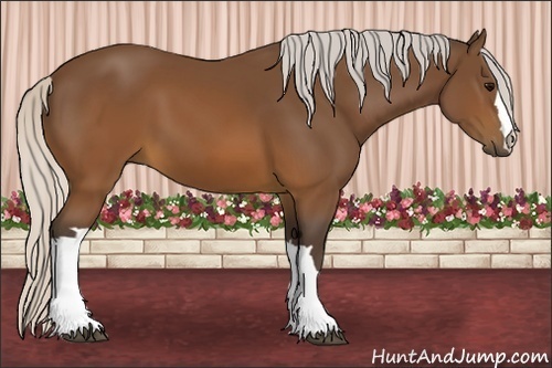 Horse Color:Silver Brown 