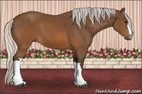Horse Color:Silver Brown 
