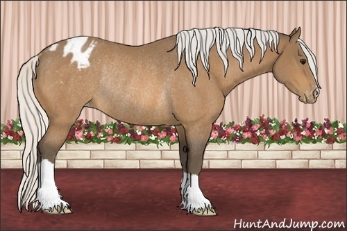 Horse Color:Silver Buckskin Varnish Rabicano