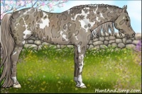 Horse Color:White Spotted Chocolate Palomino Ice 