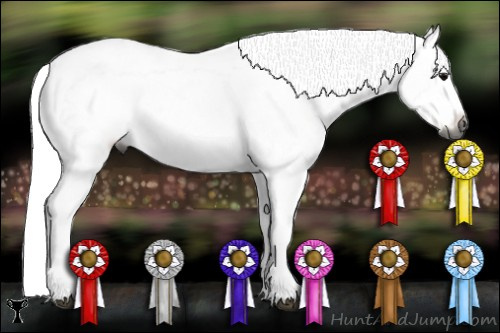 Horse Color:Gray Black Frame 