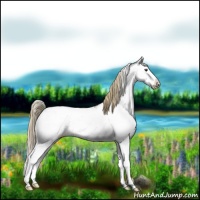 Horse Color:Chestnut Ice Sabino Splash 