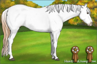 Horse Color:Red Roan Near Leopard 