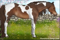 Horse Color:Liver Chestnut Tobiano 