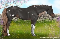 Horse Color:White Spotted Liver Chestnut Tobiano 