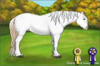 Horse Color:Buckskin Appaloosa 