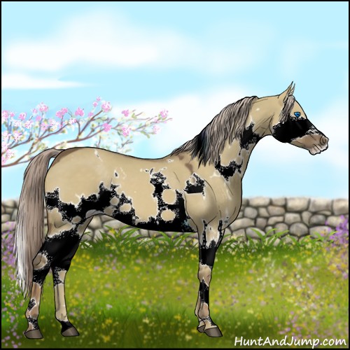 Horse Color:White Spotted Chocolate Palomino Dun Splash