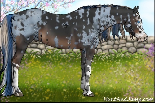 Horse Color:ERROR: UNKNOWN ANOMALY and Liver Chestnut Splash 