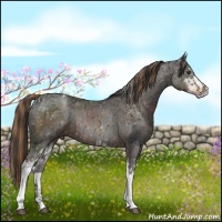 Horse Color:Liver Chestnut Tobiano and Liver Chestnut Ice Sabino