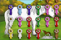 Horse Color:Silver Bay Splash Appaloosa 