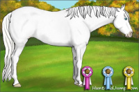 Horse Color:Gold Cream Champagne Roan Pearl Splash Varnish 