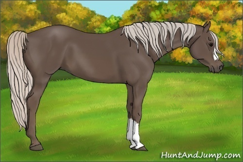 Horse Color:Silver Black 