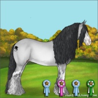 Horse Color:Sable Champagne Chinchilla Dun Sabino 