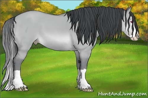 Horse Color:Sable Champagne Chinchilla Dun Splash 