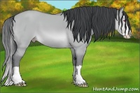 Horse Color:Sable Champagne Chinchilla Dun Splash