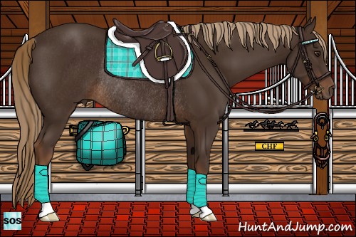 Horse Color:Liver Chestnut Rabicano
