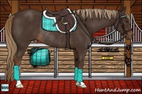 Horse Color:Liver Chestnut Rabicano