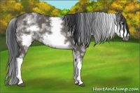 Horse Color:White Spotted Grullo Frame 