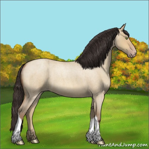 Horse Color:Amber Champagne Roan Dun 