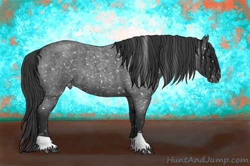 Horse Color:Blue Roan Snowflake Varnish 