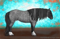Horse Color:Blue Roan Snowflake Varnish 