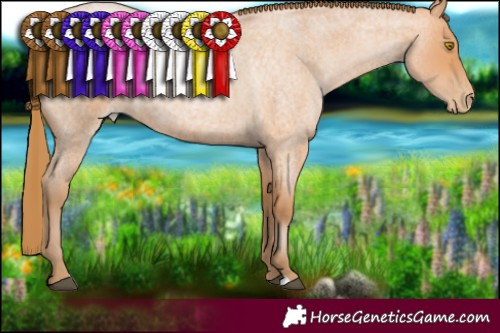 Horse Color:Bay Roan Pearl 