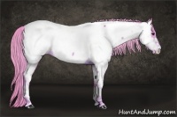 Horse Color:Watercolor Palomino Sabino Near Fewspot