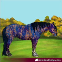 Horse Color:Bay  and ERROR: UNKNOWN ANOMALY