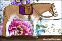 Horse Color:White Spotted Chestnut 