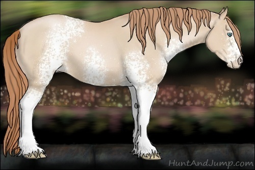 Horse Color:White Spotted Smoky Black Pearl