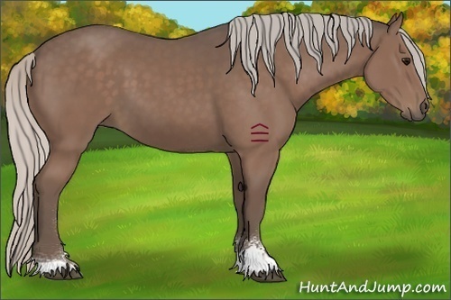 Horse Color:Silver Black Sabino