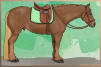 Horse Color:Chestnut Rabicano 