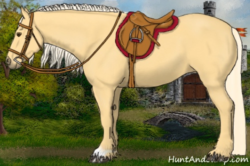 Horse Color:Palomino 