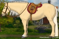 Horse Color:Palomino 