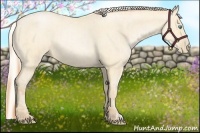 Horse Color:Buckskin Roan Pearl  and Silver Buckskin Roan Pearl 