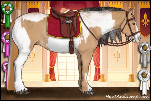 Horse Color:Chestnut Rabicano  and White Spotted Bay Splash 
