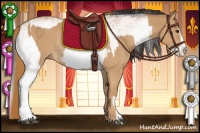 Horse Color:Chestnut Rabicano and White Spotted Bay Splash