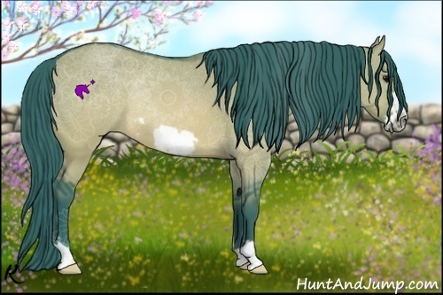Horse Color:Watercolor Brown Dun Frame Rabicano