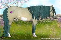 Horse Color:Watercolor Brown Dun Frame Rabicano