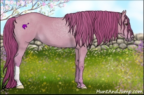 Horse Color:Watercolor Red Dun 